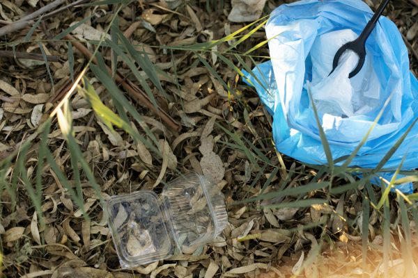 garbage-bag-plastic-pack-ground